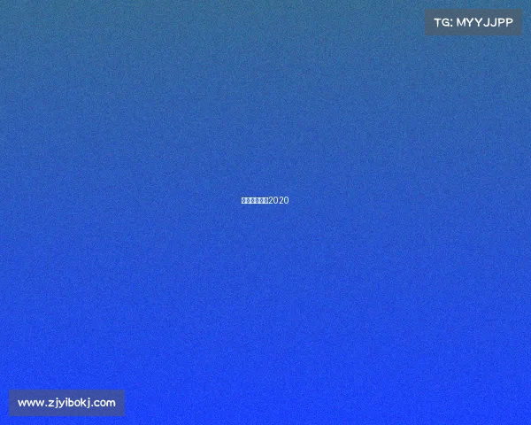 女排最新赛事2020